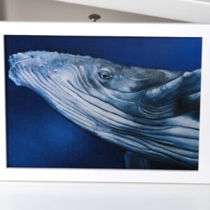 Print A3 Mamma Whale