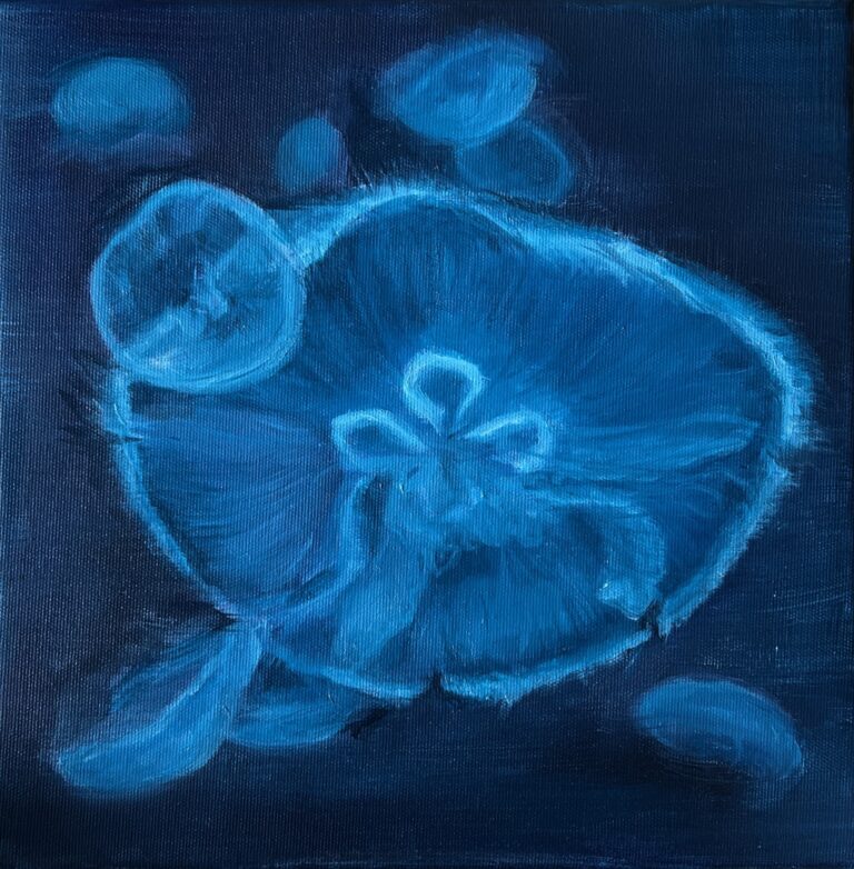 Přečtete si více ze článku Vernisáž projektu Book With Art v The Barrister