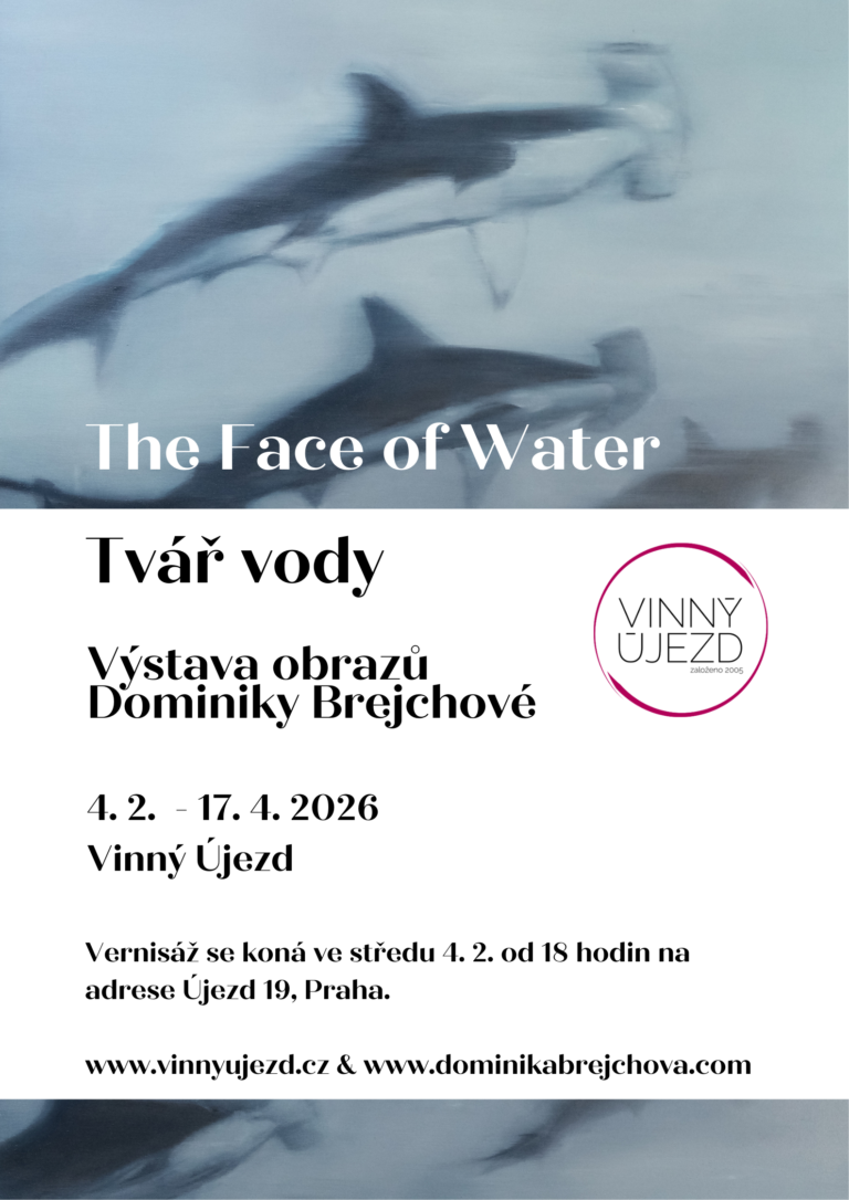 Přečtete si více ze článku Pozvánka na vernisáž výstavy Tvář vody 4.2.2026 ve Vinném Újezdu